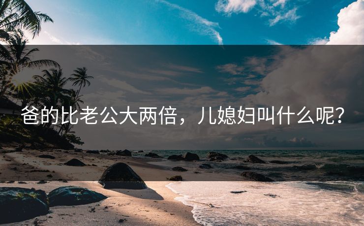 爸的比老公大两倍，儿媳妇叫什么呢？