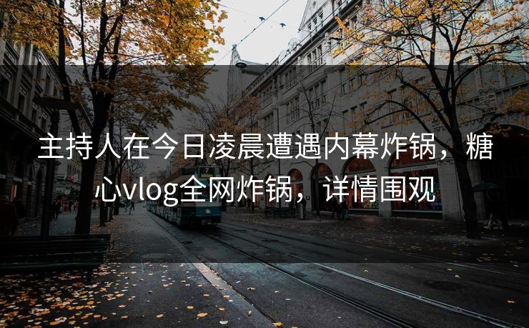 主持人在今日凌晨遭遇内幕炸锅，糖心vlog全网炸锅，详情围观